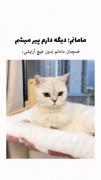عجب حرفایی میزنیا مادر من:)😂🥹