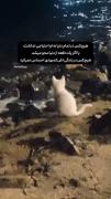 نابود شدن یه ستاره میون این همه ستاره ناراحت کننده نیس🫠✨