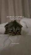 من واقعا الان دوست دارم بغلت کنم:)