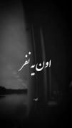 من نسبت به ادمی که دوسش دارم دیونه ترین ادم میشم:)