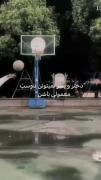 بالا اوردم قلبم رو با همه پروانه‌ ها🦋