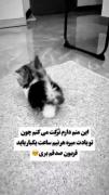 دارم ترکت میکنم چون یادت میره هر نیم ساعت... 