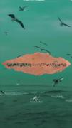 اشتباه است ، اشتباه !‌‌‌‌‌‌‌‌‌‌