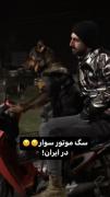 سگ موتر سوار در ایران!🐕🛵....