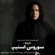 قوی ترین جادوگر های هری پاتر..