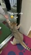 اینم لجبازی من که میگن بریم خانه فامیلی که ازشون خوشم نمیاد