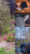 ولی وایب روزای بارونی🫠🤍🌧‌‌‌‌