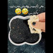 وقتی ازم میپرسن چایی چقدر دوست داری: 