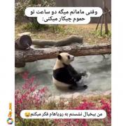 وقتی مامانم میگه دوساعت تو حموم چیکار میکنی: 