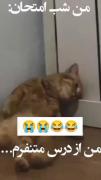 شمام شب امتحان اینجوریین؟ 😂😂😂