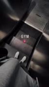 gym>>> 