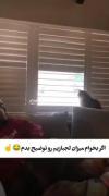میزان لجبازی من به روایت فیلم 😂