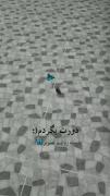 دورت بگردم به روایت تصویر>>> 