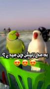 ایجوری مخ بزنین پسرااااااااااا