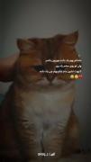 اون روم رو فقط وقتی رو مخم راه بری میبینی 😁