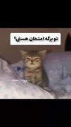 تو برگه امتحان هستی؟🤣 
