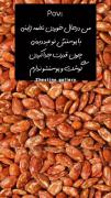 من در حال خوردن تخمه ژاپنی..🤣🤣