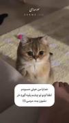 الهی گور خر بشی..................