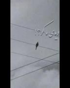 از ما چه مانده؛ غیر از آرزو... 