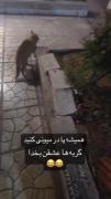 گورباح😆‌‌‌‌‌‌‌‌‌‌‌‌‌‌‌‌‌‌‌‌‌‌‌‌‌‌‌