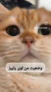 خوده من😂😑‌‌‌‌‌‌‌‌‌‌‌‌‌‌‌‌‌‌‌‌‌