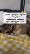 من هیچوقت برای تصمیمی دودل نشدم چون همیشه..😂