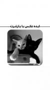 ایده عکس جذاب با پارتنر ❤️ 