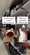 خدایی حق 😂😂😂😂😂........... 