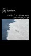 100 درصده مسئولیت زندگیت با خودته. 