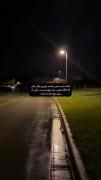 ولی هنوز جوری گوشیمو هر ثانیه چک میکنم انگار برا کسی مهمم..
