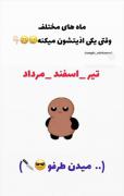 ماه های مختلف وقتی یکی اذیتشون میکنه: 