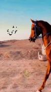 به نام خداوند بخشنده مهربان دنیا دست اوستا کریمه