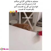 اره خلاصههههه ویدیو به این حقی😂🤌