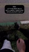 من‌بهت‌نمیگم‌دوست‌دارم‌ولی‌‌اینطوری‌نشون‌میدم