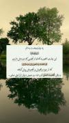 یه بیماری هست به نام.. ارو تومانیا.. 