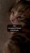 وقتی خیلی وقته ندیدیش. 