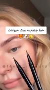خط چشم به سبک حیوانات.....🐶🦊