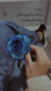 دوستت داشتم و دارم ولی کسی که اون یکیو تنها گذاشت شما بودی نه من 🖤a. 