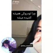 انیمه.طنز. کیوت.عاشقانه. اوتاکو.