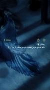 کلیپ نوشته ‌
