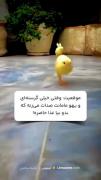 استواری طنز برای همه او نایی که میخورن ولی بازم گرسنن