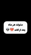 متولدین هر ماه بعد از کات کردن شما چ ماهی هستین؟من خودم دی ام😂💗