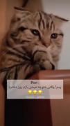 ‌‌راست‌میگه‌‌پسرا‌‌؟‌😂‌‌😐‌‌💔