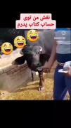 نقش من وقتی پدرم پول رو شمارش میکنه