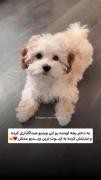 ‌‌هرچقد ببینی سیر نمیشی ازش 😂 