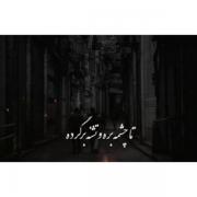 گل من رو اهلی کردنو بر میگردن به من میخندن.): 