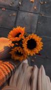 🌻.‌‌‌‌‌‌‌‌‌‌‌‌‌‌‌ ‌‌‌‌‌‌‌‌‌‌‌