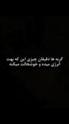 گربه ها دلیل زندگیه منه...:)))
