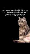 احسـاس میــکنـم خیلی حـقــه😂😂🤌🏻