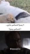 خدایا من چرا بغض کردم:)) احساس بعضی از پسرا همینه🥲 | پسرا